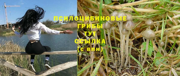 дживик Семёнов