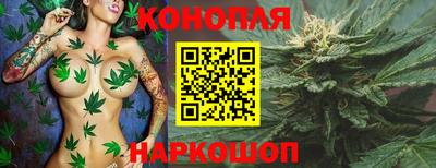 каннабис Кингисепп
