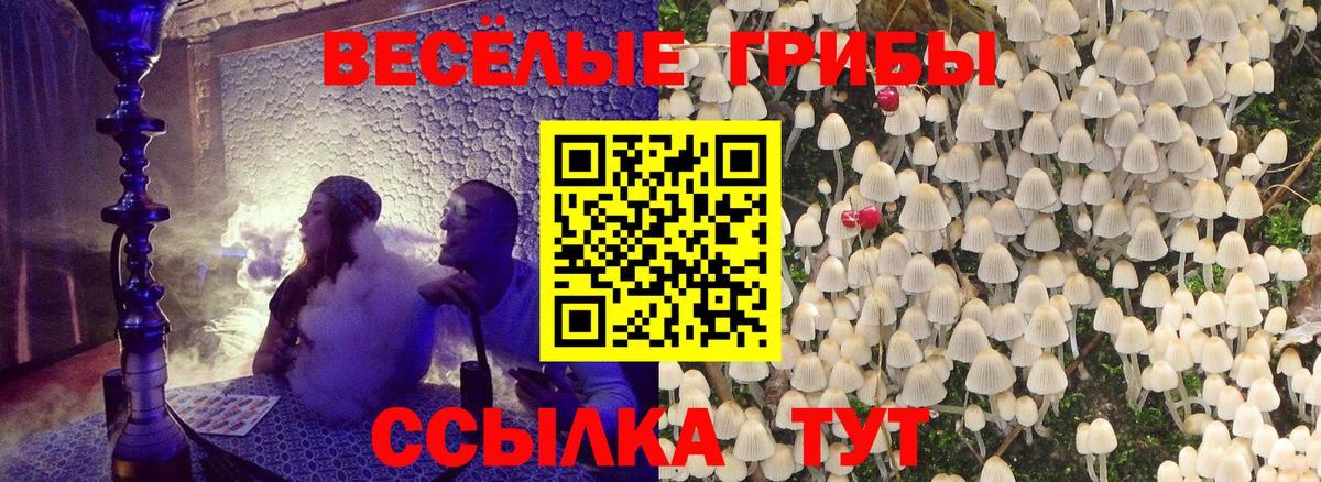 Галлюциногенные грибы прущие грибы  Вход с VPN  где можно купить наркотик  Северодвинск  Псилоцибиновые грибы мицелий 