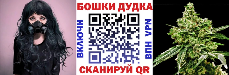 Канабис план  продажа наркотиков  Северодвинск 