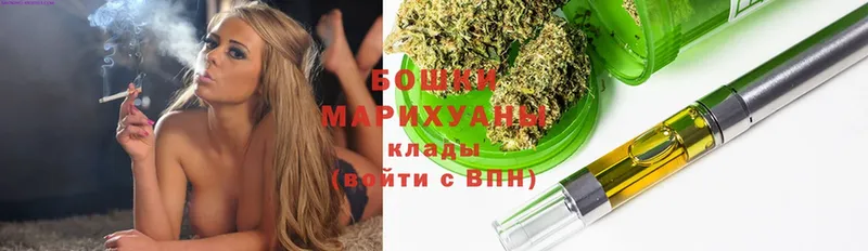 магазин продажи   Северодвинск  Бошки марихуана White Widow 